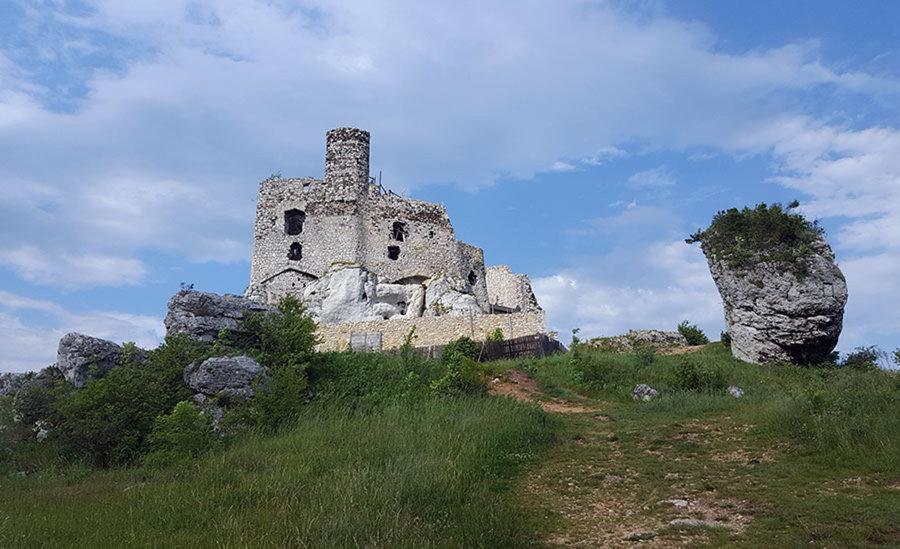 Jurajska Stokrotka - Zdjęcie 5