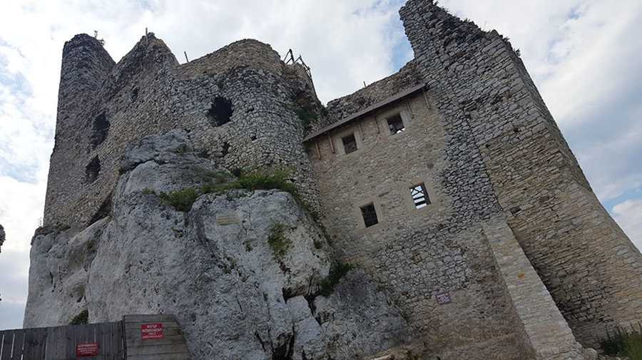 Jurajska Stokrotka - Zdjęcie 6