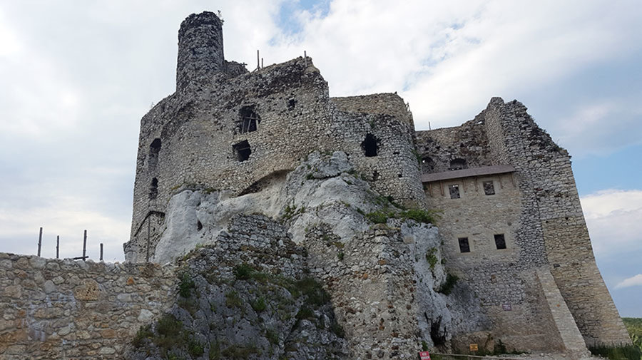 Jurajska Stokrotka - Zdjęcie 7