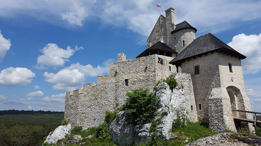 Jurajska Stokrotka - Zdjęcie 1