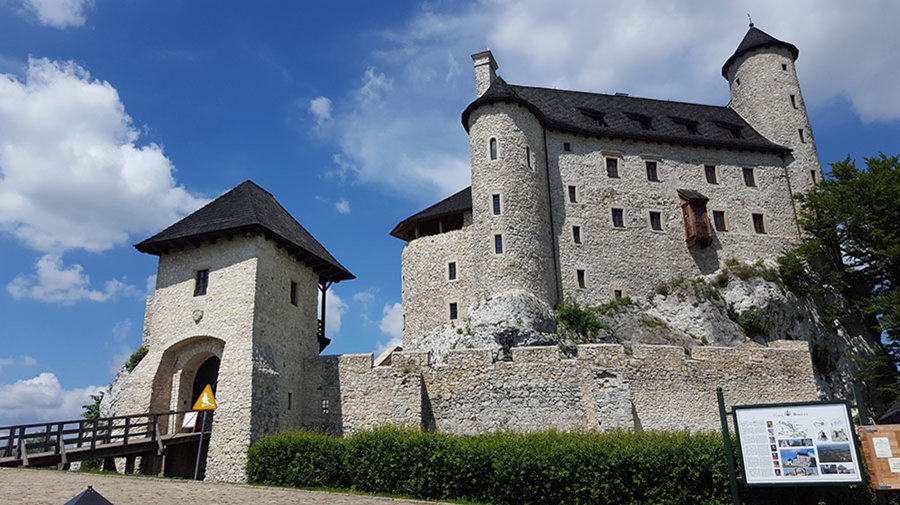 Jurajska Stokrotka - Zdjęcie 3