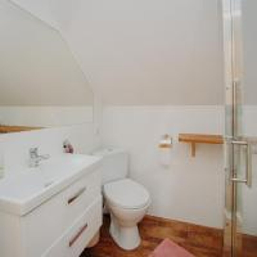 Jurajska Stokrotka - 8